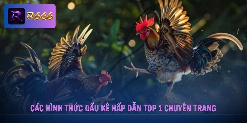 Các hình thức đấu kê hấp dẫn top 1 chuyên trang