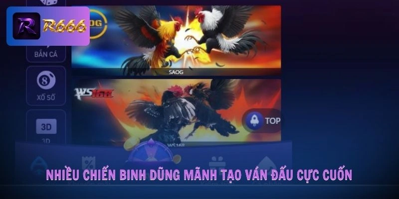 Home 22 Nhiều chiến binh dũng mãnh tạo ván đấu cực cuốn