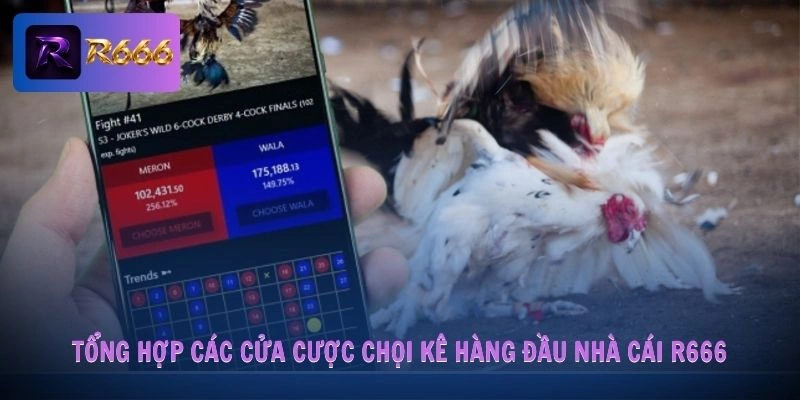 Tổng hợp các cửa cược chọi kê hàng đầu nhà cái R666