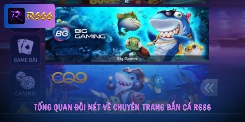 Bắn Cá R666 1 Tổng quan đôi nét về chuyên trang bắn cá R666